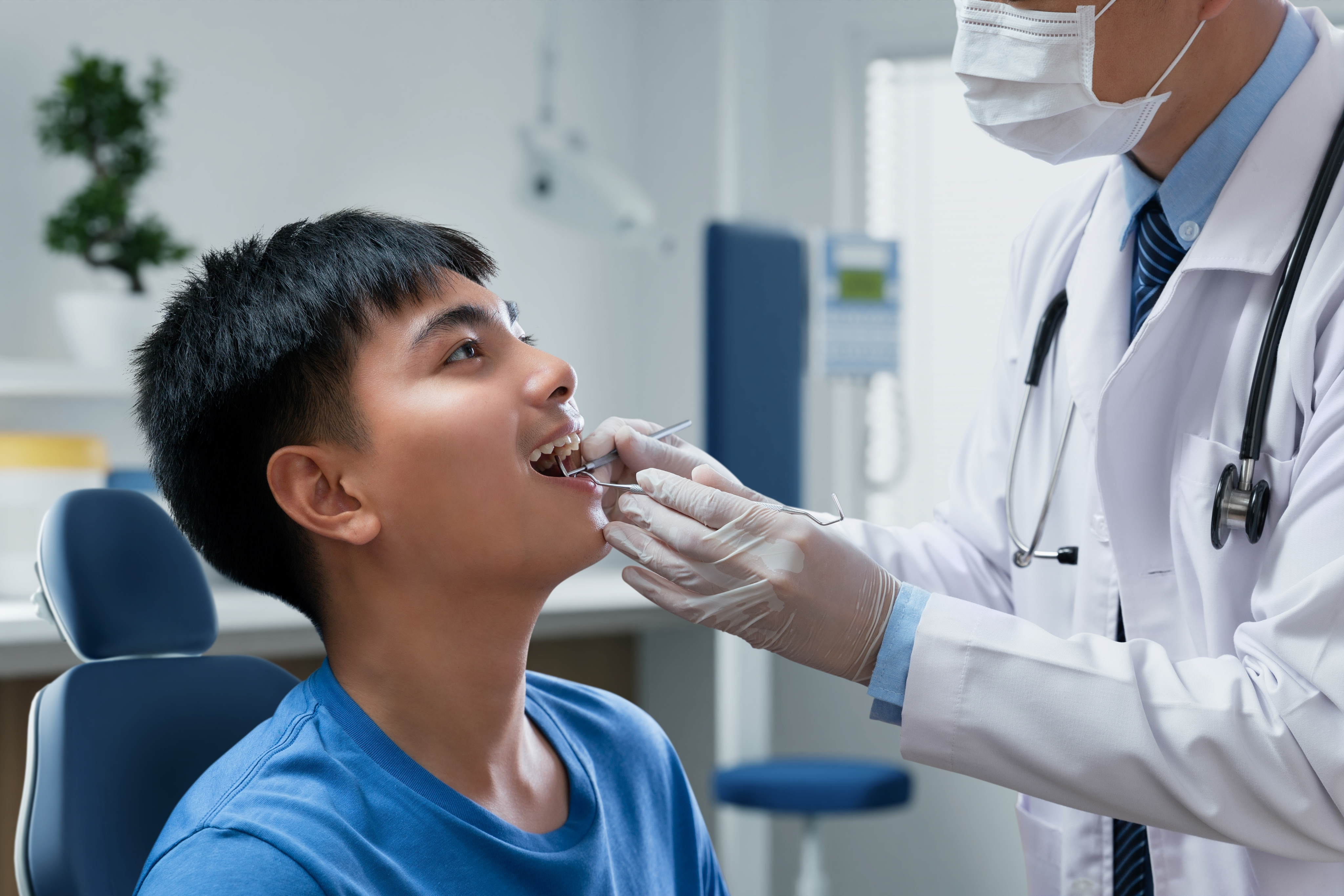 primary-dental-co-care-pilot-scheme